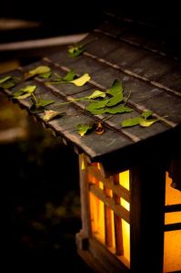 japanese lantern dpf1098 on flickr