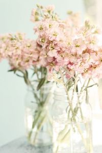 flowers in jars on flickrdotcom