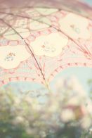 parasol lucia and mapp on flickr