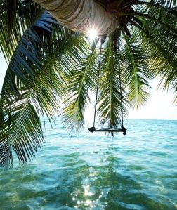 sea swing bahamas bluepueblodottumblrdotcom